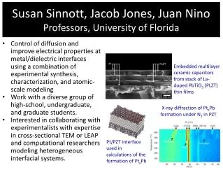 Susan Sinnott, Jacob Jones, Juan Nino Professors, University of Florida