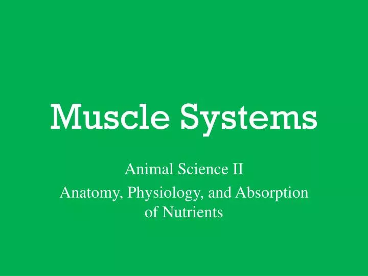 muscle systems