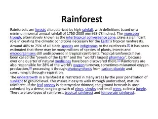 rainforest