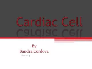 Cardiac Cell