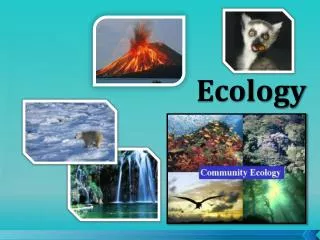 Ecology