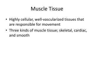 Muscle Tissue