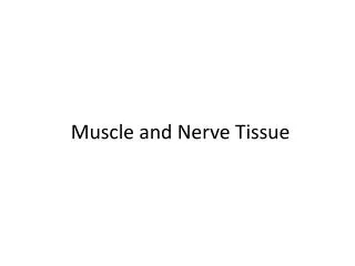 Muscle and Nerve Tissue