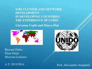 SME CLUSTER AND NETWORK DEVELOPMENT IN DEVELOPING COUNTRIES: THE EXPERIENCE OF UNlDO