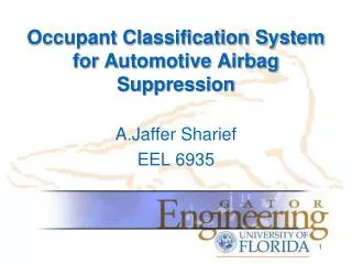 Occupant Classification System for Automotive Airbag Suppression