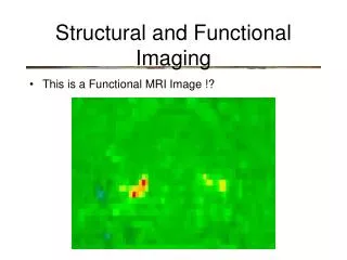 Structural and Functional Imaging
