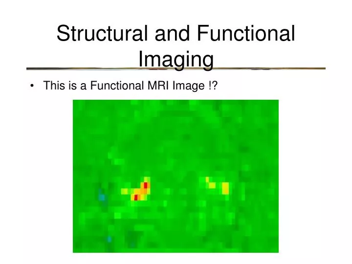 structural and functional imaging