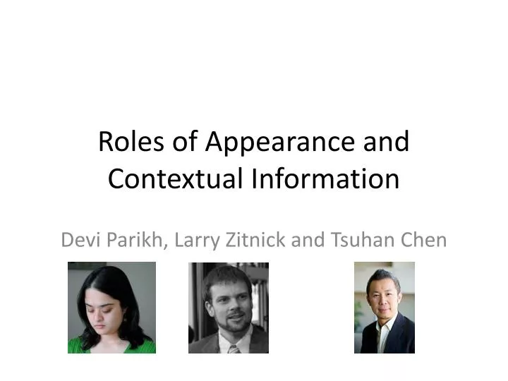 roles of appearance and contextual information
