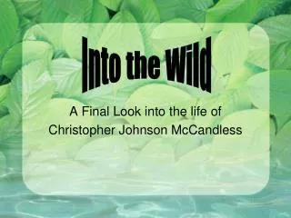 A Final Look into the life of Christopher Johnson McCandless