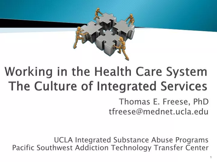 working in the health care system the culture of integrated services