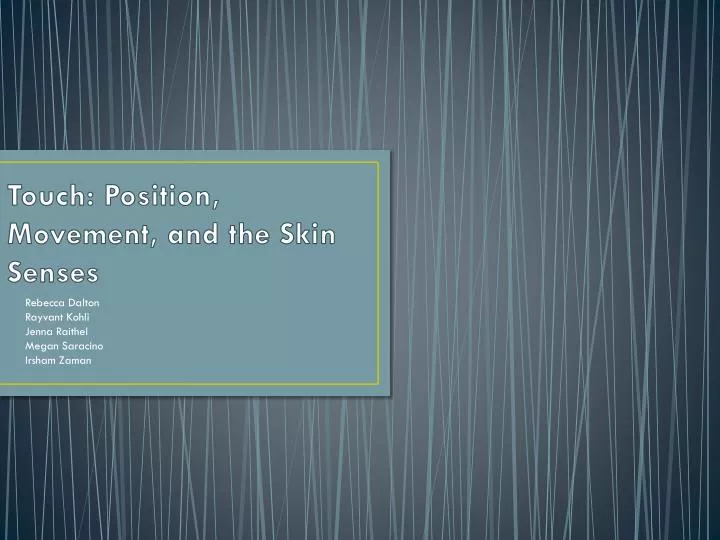 touch position movement and the skin senses