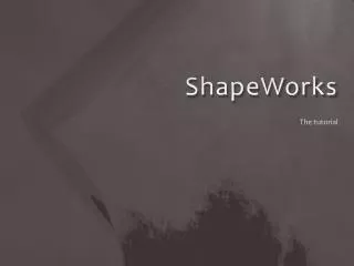 ShapeWorks