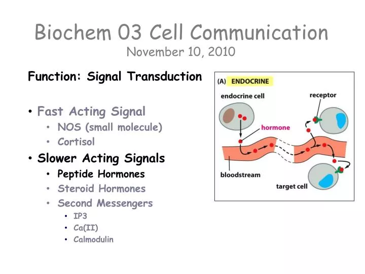 biochem 03 cell communication november 10 2010