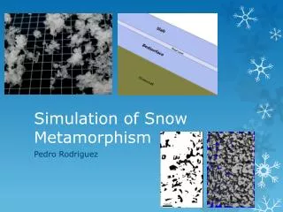 Simulation of Snow Metamorphism