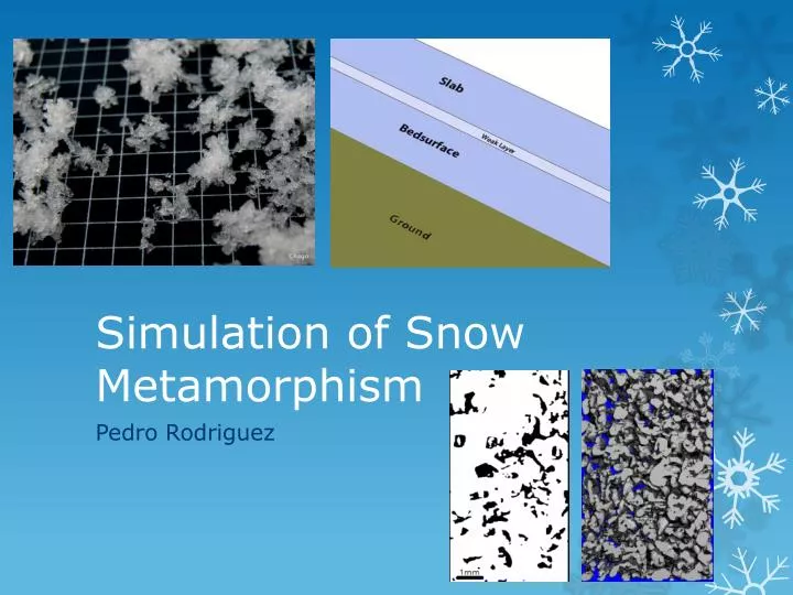 simulation of snow metamorphism