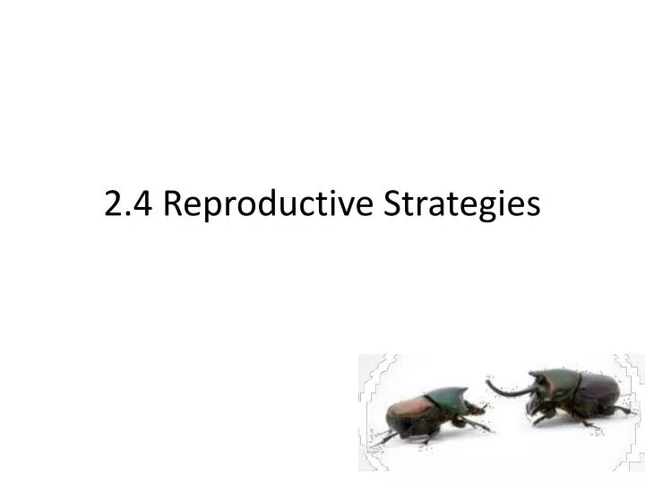 2 4 reproductive strategies