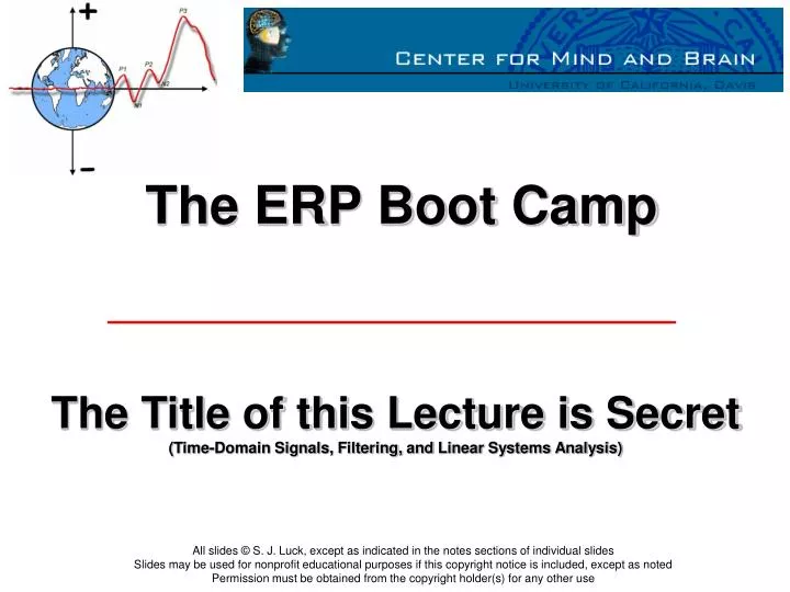 the erp boot camp