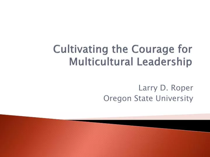 cultivating the courage for multicultural leadership