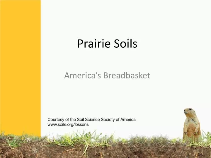 prairie soils