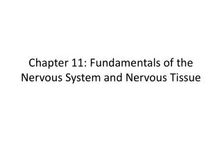 Chapter 11: Fundamentals of the Nervous System and Nervous Tissue
