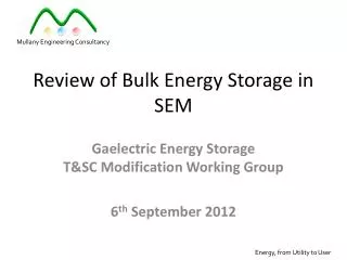 Review of Bulk Energy Storage in SEM