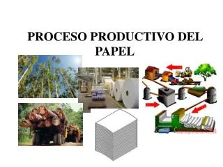 proceso productivo del papel