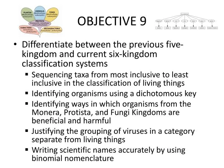 objective 9