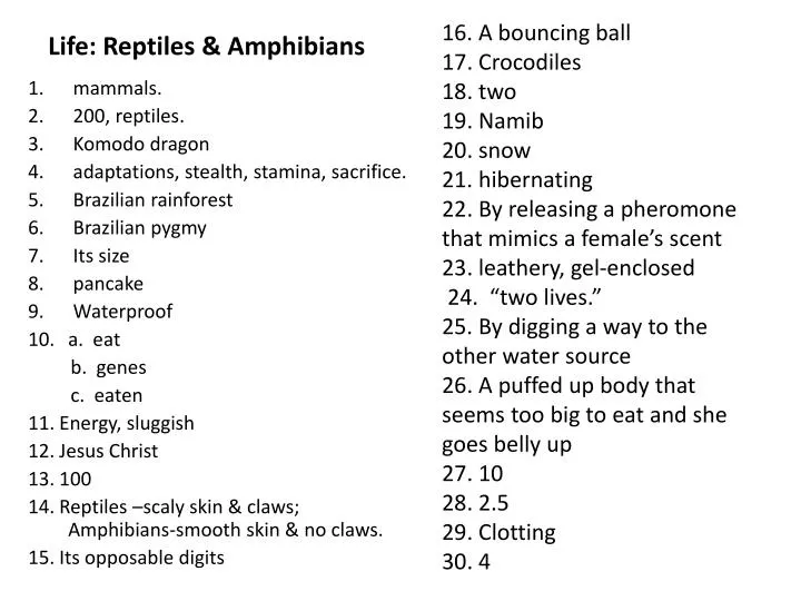 life reptiles amphibians
