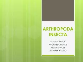 ARTHROPODA INSECTA