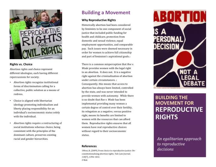 building the movement for reproductive rights