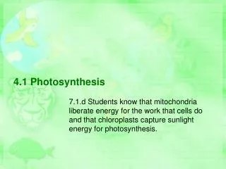 4.1 Photosynthesis