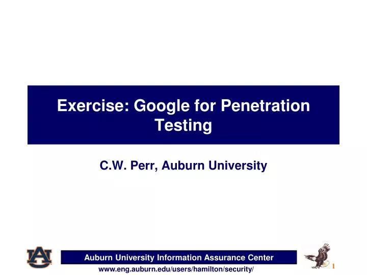 exercise google for penetration testing