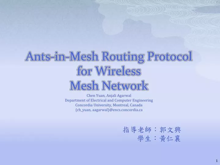 ants in mesh routing protocol for wireless mesh network