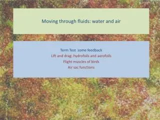 Moving through fluids: water and air