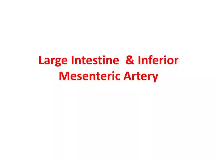 large intestine inferior mesenteric artery