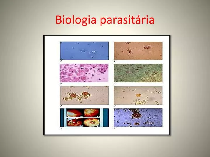 biologia parasit ria