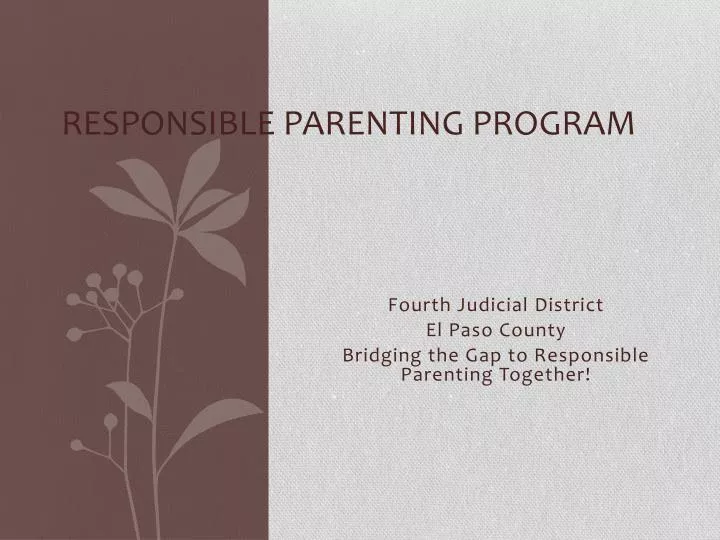 responsible parenting program