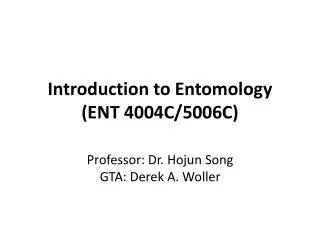 Introduction to Entomology (ENT 4004C/5006C)