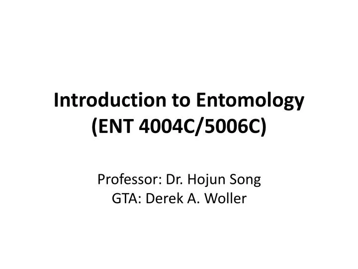 introduction to entomology ent 4004c 5006c