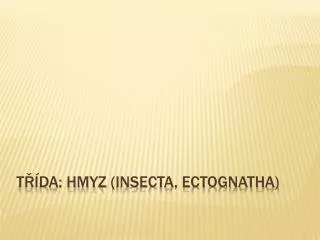 t da hmyz insecta ectognatha