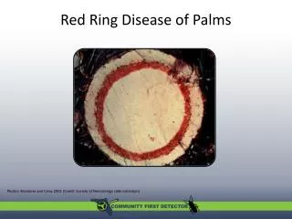 Red Ring Disease of Palms