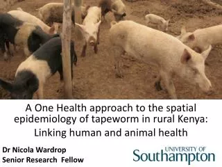 A One Health approach to the spatial epidemiology of tapeworm in rural Kenya:
