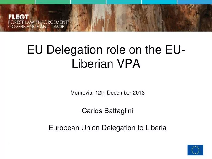 eu delegation role on the eu liberian vpa