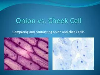onion vs cheek cell