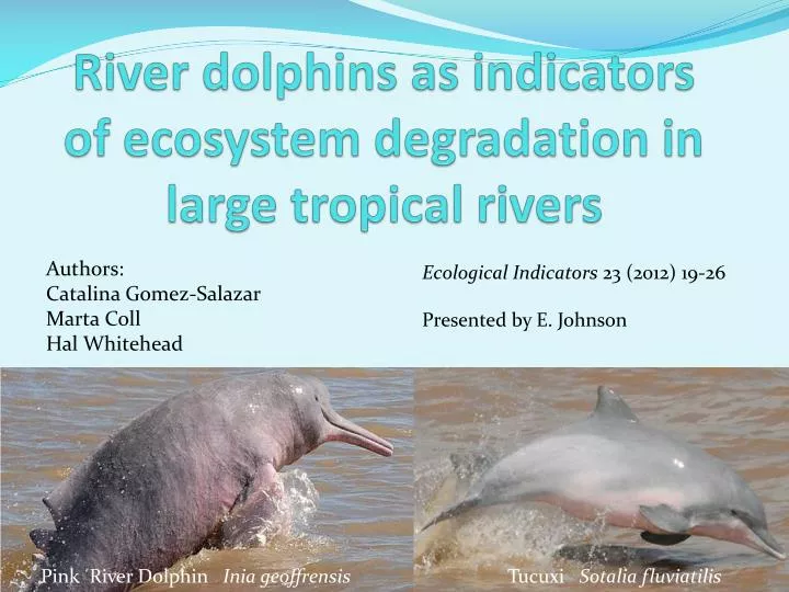 river dolphins as indicators of ecosystem degradation in large tropical rivers