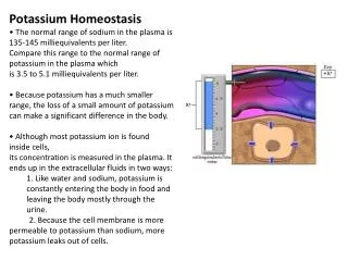 Potassium Homeostasis