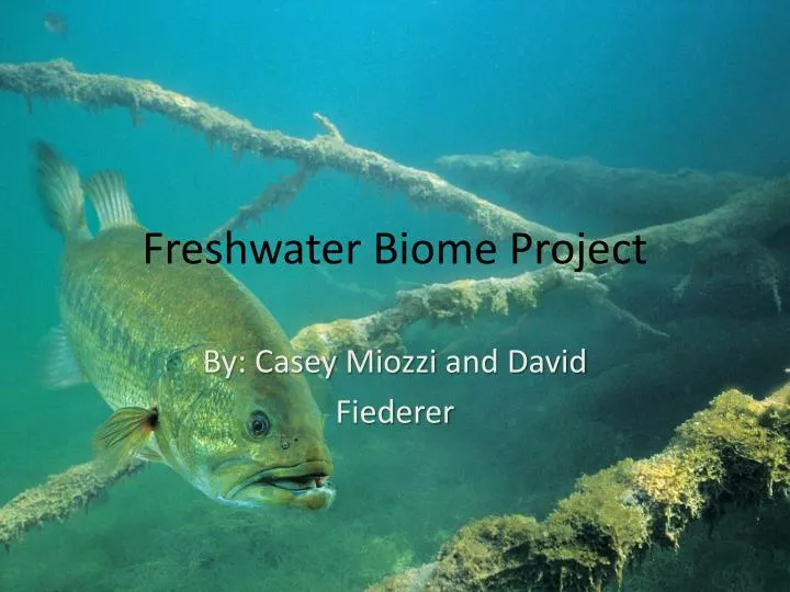 freshwater biome project