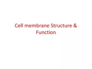 Cell membrane Structure &amp; Function