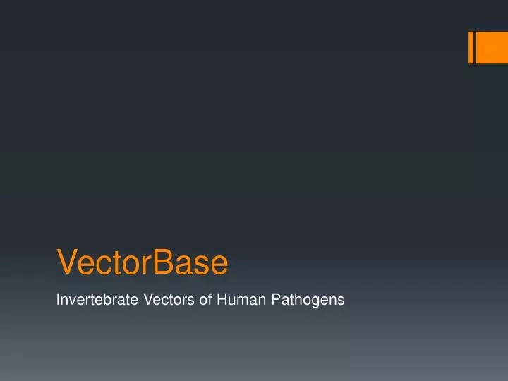 vectorbase