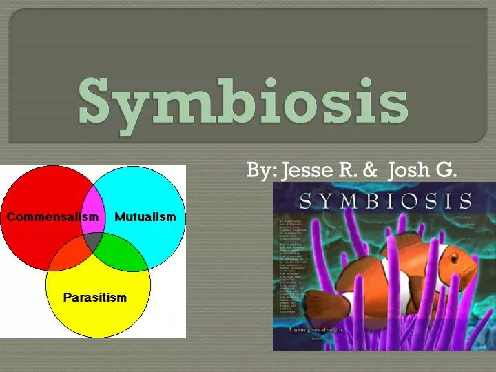 symbiosis